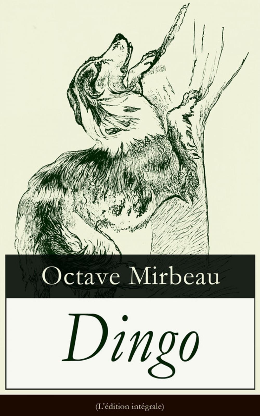 Big bigCover of Dingo (L'édition intégrale)