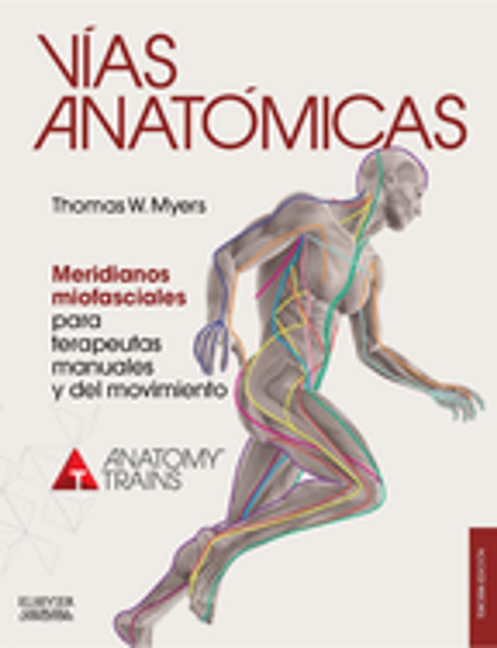 Big bigCover of Vías anatómicas. Meridianos miofasciales para terapeutas manuales y del movimiento