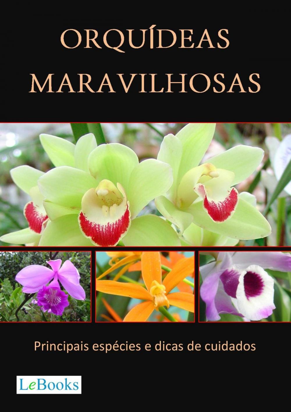 Big bigCover of Orquídeas maravilhosas