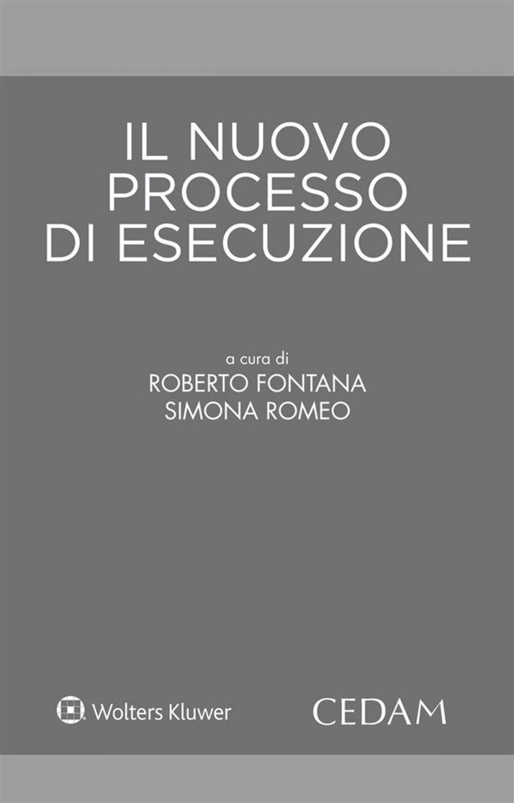 Big bigCover of Il nuovo processo di esecuzione