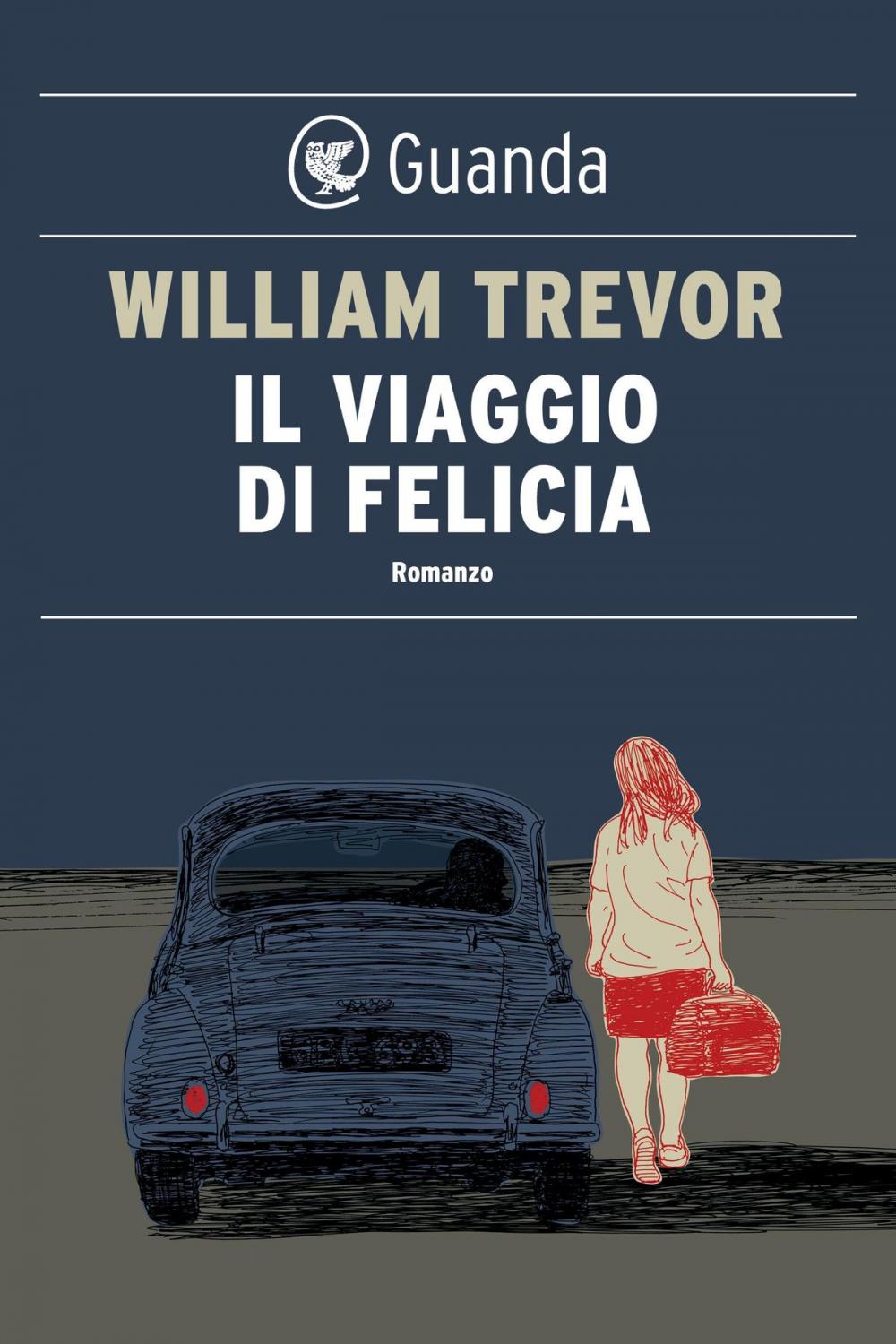 Big bigCover of Il viaggio di Felicia