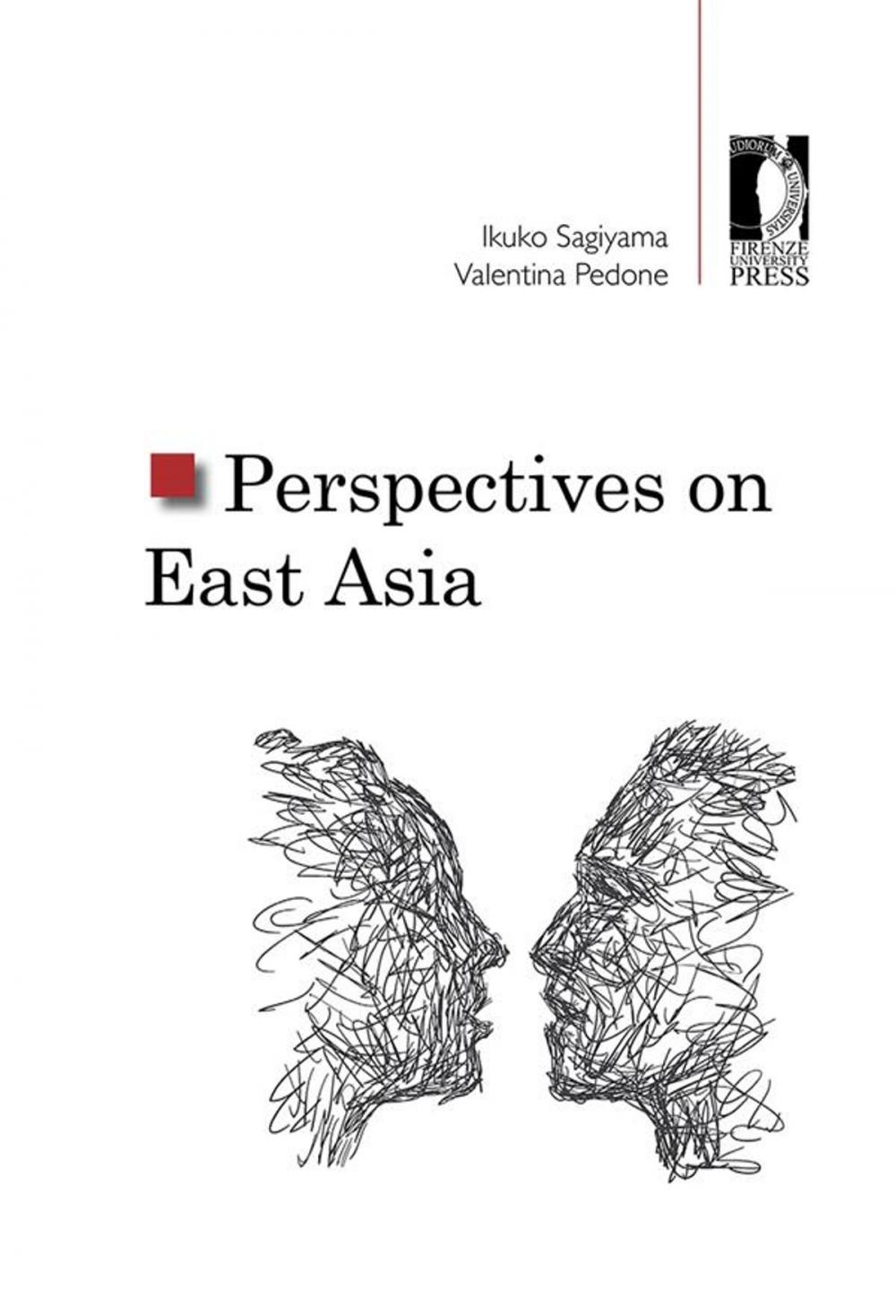 Big bigCover of Perspectives on East Asia