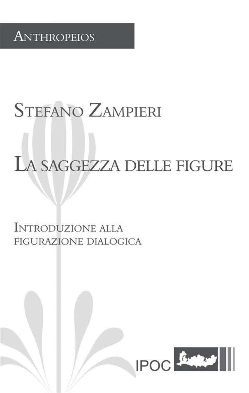 Big bigCover of La saggezza delle figure