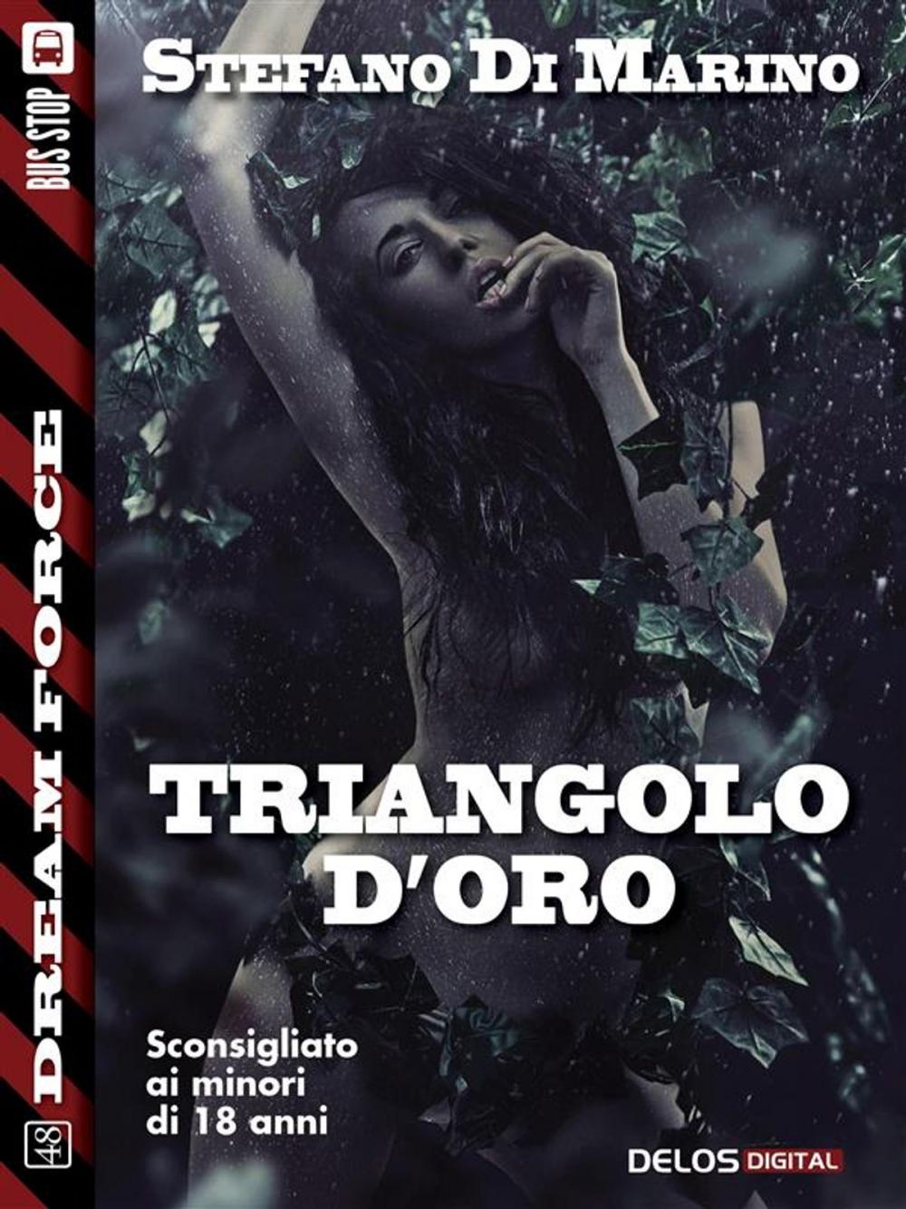 Big bigCover of Triangolo d'oro