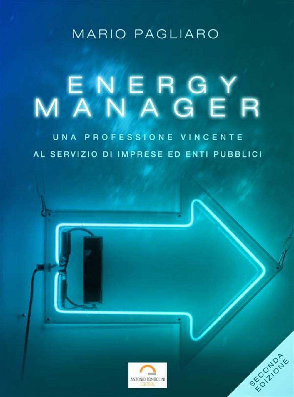 Big bigCover of Energy manager: Una professione vincente al servizio di imprese ed enti pubblici. Seconda edizione