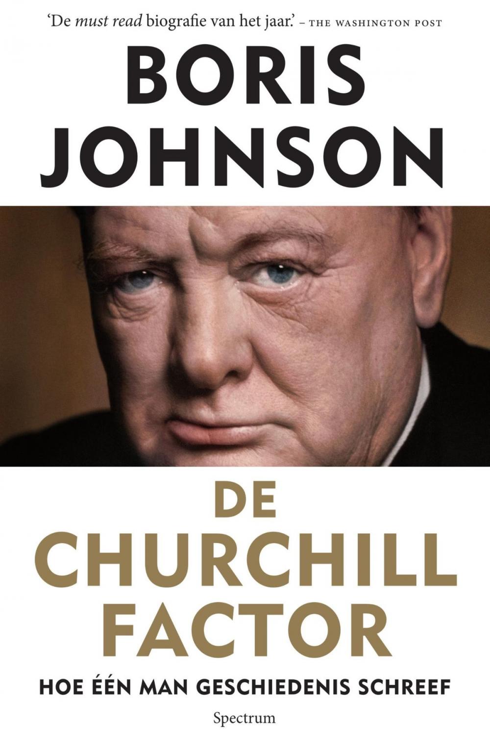 Big bigCover of De churchill factor