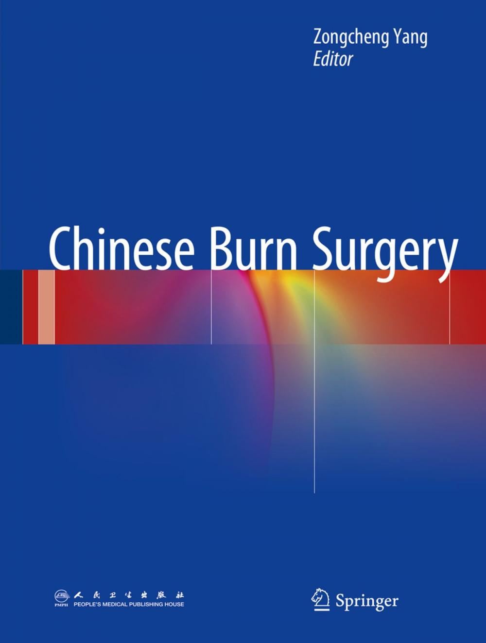 Big bigCover of Chinese Burn Surgery