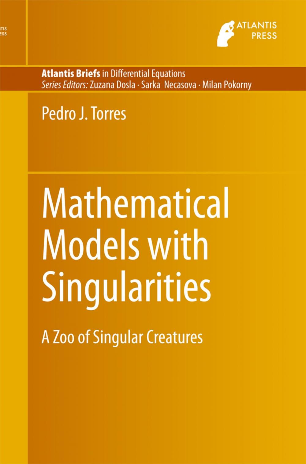 Big bigCover of Mathematical Models with Singularities