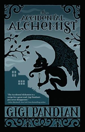 Cover of the book The Accidental Alchemist by Jan Jacob Mekes