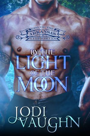 Cover of the book By The Light Of The Moon by Sean Gormley
