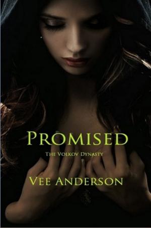 Cover of the book Promised by Vinayak Patil
