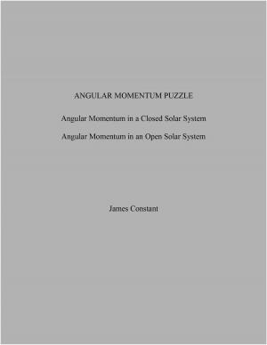 bigCover of the book Angular Momentum Puzzle by 