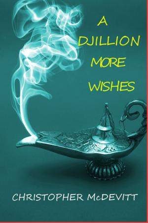 Cover of the book A Djillion More Wishes by Megan Mitcham, Lindsay Cross