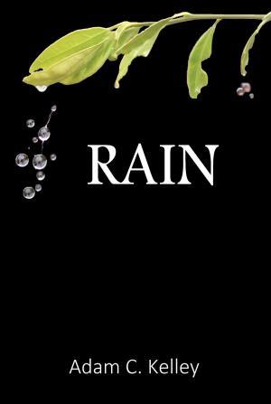 Cover of the book Rain by 夢枕獏