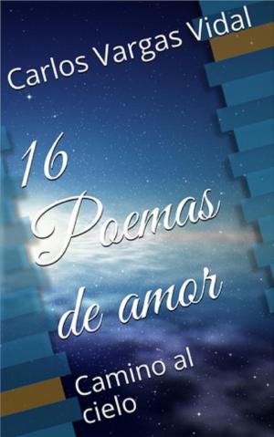 Cover of the book 16 Poemas de amor, Camino al cielo by Edwin Mathe