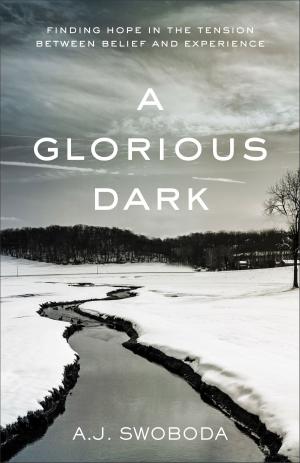 Book cover of A Glorious Dark