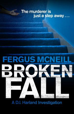 Cover of the book Broken Fall by Martin Manser