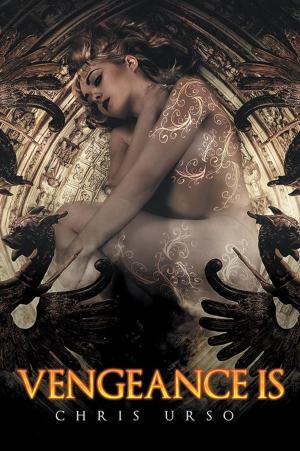 Cover of the book Vengeance Is by Stephen Johnson