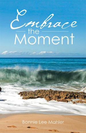 Cover of the book Embrace the Moment by Lise Lyng Falkenberg