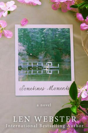 Book cover of Sometimes Moments