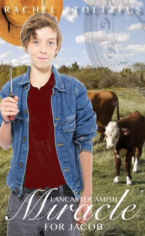 bigCover of the book A Lancaster Amish Miracle for Jacob by 