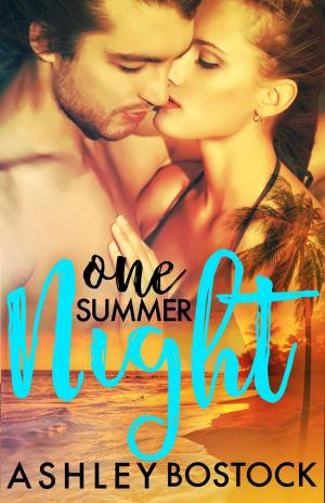 Cover of the book One Summer Night by Beth Orsoff
