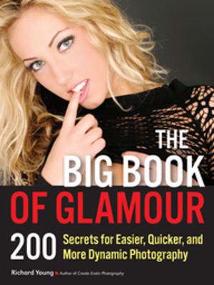 Cover of the book The Big Book of Glamour by Michelle Perkins