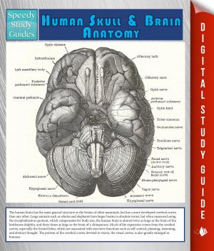 Cover of the book Human Skull And Brain Anatomy (Speedy Study Guide) by Speedy Publishing