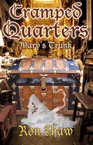 Cover of the book Mary's Trunk by Ramcy Diek