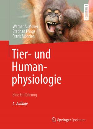 Cover of the book Tier- und Humanphysiologie by Edda Weimann, Peter Weimann