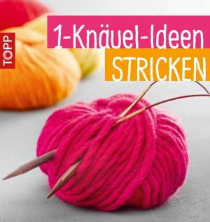 Cover of the book 1-Knäuel-Ideen stricken by Jana Ganseforth