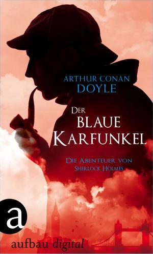 Cover of the book Der blaue Karfunkel by Guido Dieckmann