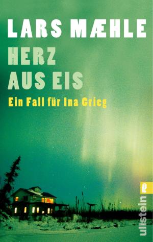 Cover of the book Herz aus Eis by Guangyan Yin-Baron, Stefan Baron