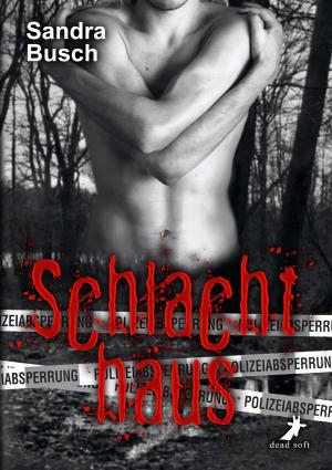 Cover of the book Schlachthaus by Sandra Gernt, Sandra Busch