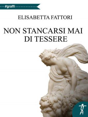 Cover of the book Non stancarsi mai di tessere by Dimitrios Voutsinas
