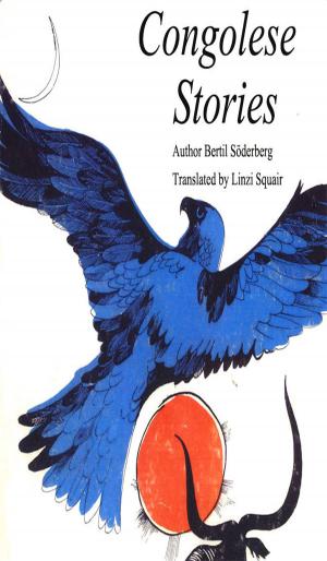 Book cover of Congolese Stories