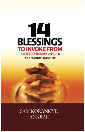 Cover of 14 Blessings to Invoke