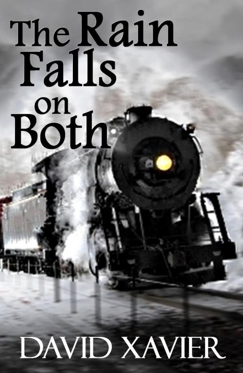 Cover of the book The Rain Falls On Both by David Xavier, Bucklebury Books