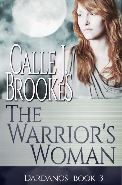 Cover of the book The Warrior's Woman by Calle J. Brookes, Lost River Lit Publishing,L.L.C.
