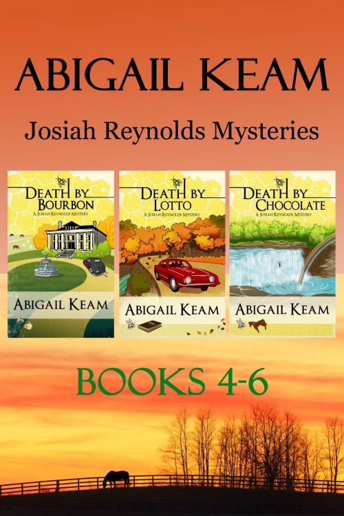 Cover of the book Josiah Reynolds Mysteries Box Set 2: Death By Bourbon, Death By Lotto, Death By Chocolate by Abigail Keam, Worker Bee Press