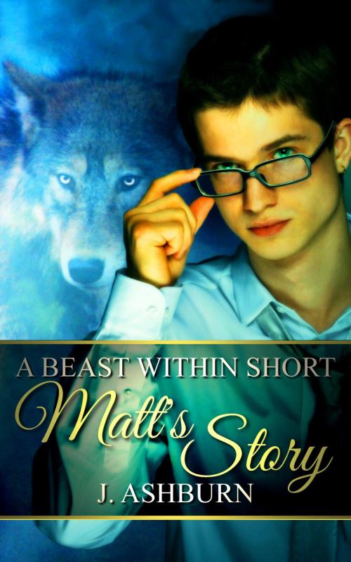 Cover of the book Matt's Story by J. Ashburn, J. Ashburn Fiction