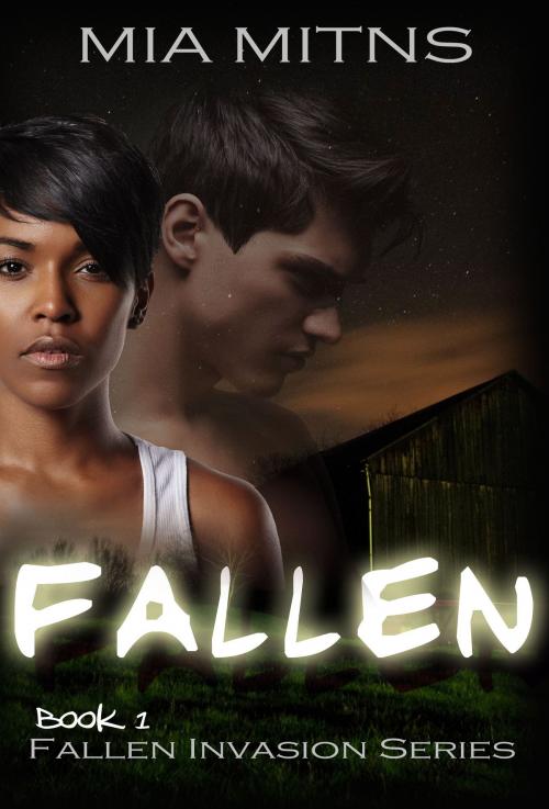 Cover of the book Fallen by Mia Mitns, Mia Mitns