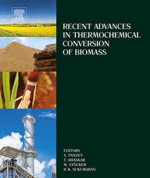 Cover of the book Recent Advances in Thermochemical Conversion of Biomass by , Elsevier Science