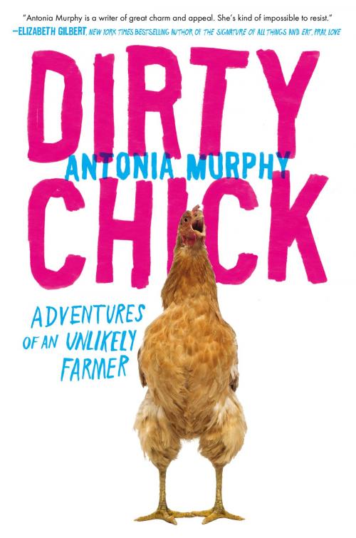 Cover of the book Dirty Chick by Antonia Murphy, Penguin Publishing Group