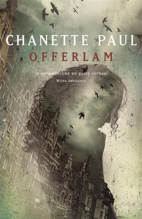 Cover of the book Offerlam by Chanette Paul, LAPA Uitgewers