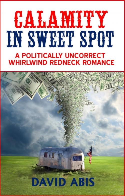 Cover of the book Calamity In Sweet Spot: A Politically Uncorrect Whirlwind Redneck Romance by David Abis, David Abis