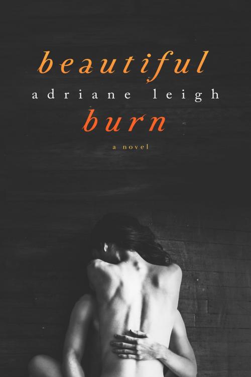 Cover of the book Beautiful Burn by Adriane Leigh, Islebrook Press