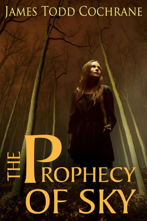 Cover of the book The Prophecy of Sky by James Todd Cochrane, Dark Moon Publishing Inc.