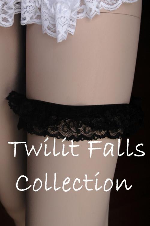 Cover of the book Twilit Falls Collection by Sierra Lee, Sierra Lee