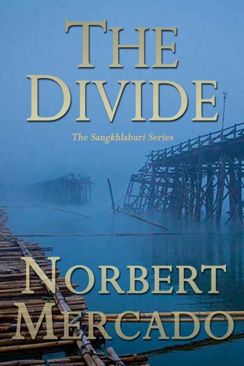 Cover of the book The Divide by Norbert Mercado, Norbert Mercado